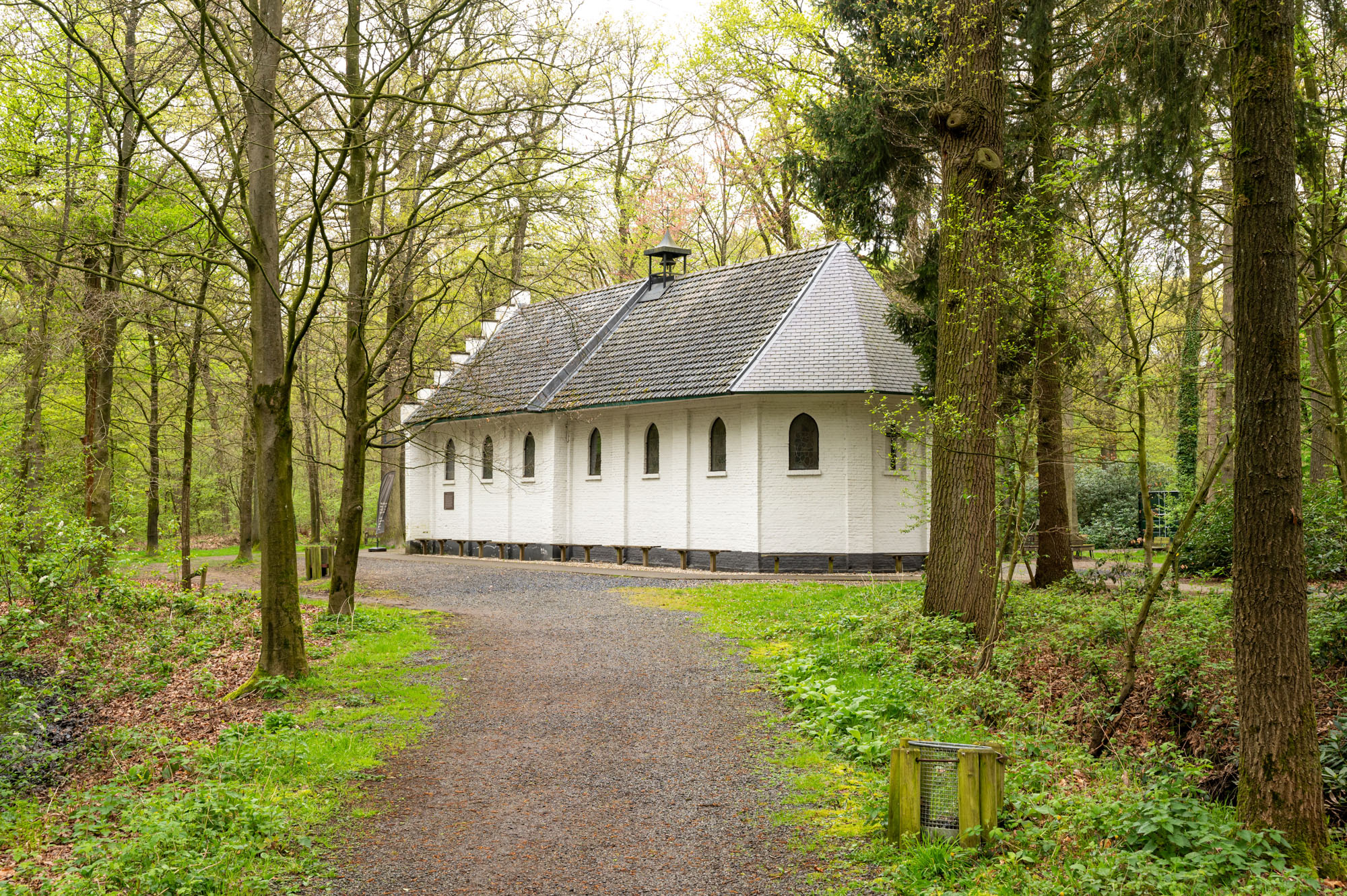 Heilige Eik Oirschot